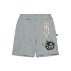 Spodenki Chłopięce LEGO Ninjago Pino208 Szare. Szare spodnie sportowe dla chłopców LEGO, na lato, bez wzorów, sportowe. Za 99.99 zł.