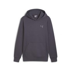 Męska bluza Better Essentials z kapturem PUMA Galactic Gray. Szare bluzy męskie Puma, m, bez wzorów, z kapturem. Za 275.10 zł.
