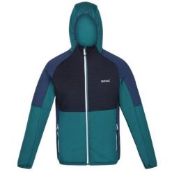 Kurtka Softshell Regatta dla Mężczyzn - Komfort i Ochrona. Fioletowe kurtki sportowe męskie Regatta, m, bez wzorów, z softshellu, trekkingowe. Za 236.99 zł.