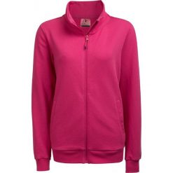 Bluza damska BLD600 - różowy - Outhorn. Bluzy damskie marki Outhorn. W wyprzedaży za 79.99 zł.