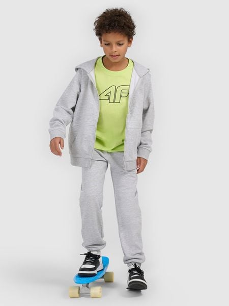 4F T-shirt regular z nadrukiem chłopięcy - zielony 134 (8-9 lat). Zielone t-shirty dla chłopców 4f, bez wzorów, z bawełny, bez ramiączek. Za 39.99 zł.