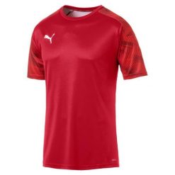 T-shirt Puma Cup Training Jersey czerwony. Brązowe koszulki sportowe męskie Puma, m, bez wzorów, z jersey, sportowe, bez kołnierzyka. Za 183.99 zł.