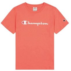 T-shirt Damski Z Bawełny Z Krótkim Rękawem. Brązowe koszulki sportowe damskie Champion, l, bez wzorów, z bawełny, bez kołnierzyka, bez ramiączek, trekkingowe. Za 132.99 zł.