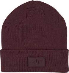 4f Czapka dla dzieci ciemny fiolet 4FJWAW25ACAPU653 50S. Czapki dla dzieci 4f, na zimę, bez wzorów. Za 48.60 zł.