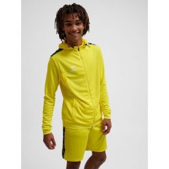 Poliestrowa bluza dresowa z kapturem i zamkiem błyskawicznym Hummel Authentic. Żółte bluzy męskie Hummel, bez wzorów, z dresówki, z kapturem. Za 255.00 zł.