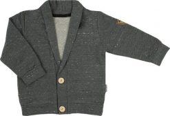 NICOL Bluza kardigan marynarka dresowy rozpinana dla chłopca Nicol Mix 92. Bluzy dla chłopców NICOL, bez wzorów, z dresówki, bez ramiączek, bez kaptura. Za 65.99 zł.