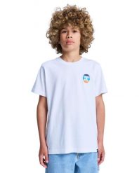 Koszulka z krótkim rękawem dla Chłopcy SHAPE OR DESTROY Biały. Białe t-shirty dla chłopców DC Shoes, bez wzorów, z bawełny, bez ramiączek. Za 76.99 zł.