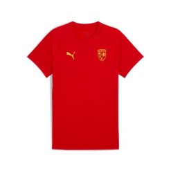 Koszulka Puma RCL Evostripe. Czerwone koszulki sportowe męskie Puma, l, bez wzorów, z materiału, bez kołnierzyka, bez ramiączek, na fitness i siłownię. Za 194.50 zł.