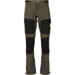 Spodnie turystyczne Whistler Beina. Czarne spodnie sportowe męskie Whistler, na lato, bez wzorów, trekkingowe. Za 337.50 zł.