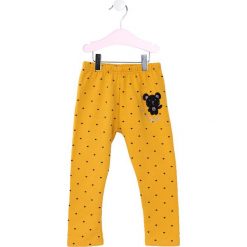 Żółte Legginsy Joliet. Żółte legginsy dla dziewczynek Born2be, z aplikacjami, długie. Za 29.99 zł.