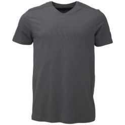 T-shirt męski Loap Albrun szary. Szare t-shirty męskie 55PROTEC, l, bez wzorów, z bawełny, sportowe, bez kołnierzyka. Za 127.99 zł.