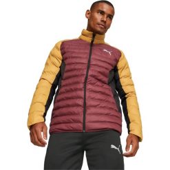 Kurtka Puma Packlite, Mężczyźni. Kurtki męskie Puma, m, bez wzorów, z nylonu, sportowe, bez kaptura. Za 590.00 zł.