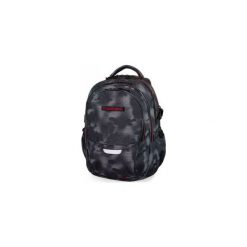 Plecak Coolpack Cp Misty Red 29L Factor 2019 Xl. Torby i plecaki dziecięce Inna. Za 123.75 zł.
