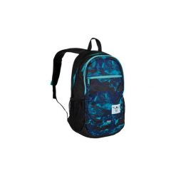 Chiemsee Aw16 Plecak Techpack Two : O0041 High Altitude. Szare torby i plecaki dziecięce Chiemsee, z tkaniny. Za 188.99 zł.