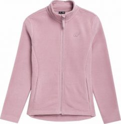 4f Polar dziecięcy 4F dla dziewczyny bluza na codzień r 158. Bluzy dla dziewczynek 4f, bez wzorów, z polaru, bez ramiączek, bez kaptura. Za 78.21 zł.