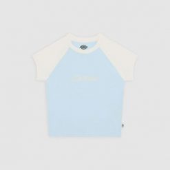 Koszulka Dickies Rope skyway. Koszulki sportowe męskie Dickies, bez wzorów, bez kołnierzyka, bez ramiączek. Za 148.05 zł.