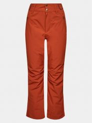 Protest Spodnie narciarskie Cinnamon P4693100 Brązowy Regular Fit. Brązowe spodnie snowboardowe damskie Protest, s, bez wzorów, z syntetyku, sportowe, narciarskie. Za 419.99 zł.