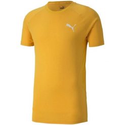 Koszulka piłkarska męska Puma Evostripe Lite Tee. Brązowe koszulki sportowe męskie Puma, m, bez wzorów, z materiału, bez kołnierzyka, bez ramiączek, na fitness i siłownię. Za 39.09 zł.