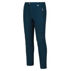 Spodnie trekkingowe dla mężczyzn Regatta HIGHTON TRS. Niebieskie spodnie sportowe męskie Regatta, na lato, m, bez wzorów, trekkingowe. W wyprzedaży za 149.99 zł.