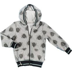 Mmdadak Bluza Chłopięca Robak 128 Szara. Bluzy dla chłopców marki Mmdadak. Za 53.00 zł.