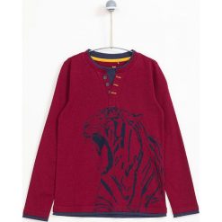 Lemon Explore - Longsleeve dziecięcy 122-164 cm. T-shirty dla chłopców marki LEMON explore. W wyprzedaży za 39.90 zł.