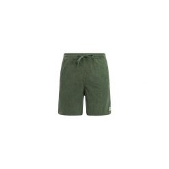 Protest PRTUleyo shorts - Thyme. Zielone buty sportowe męskie Protest, bez wzorów, na fitness i siłownię. Za 291.50 zł.
