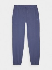 4F Spodnie dresowe joggery męskie - niebieskie XL. Niebieskie spodnie sportowe męskie 4f, l, bez wzorów, z bawełny. Za 149.99 zł.