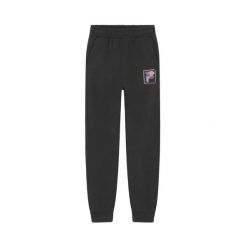 Spodnie dresowe dziewczęce Fila Bex High Waist. Szare spodnie sportowe dla dziewczynek Fila, bez wzorów, z bawełny, na jogę i pilates. Za 92.00 zł.