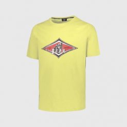 Koszulka z misiem i dużym logo w kolorze selera zielonego. Zielone koszulki sportowe męskie BEAR, bez wzorów, bez kołnierzyka, bez ramiączek. Za 148.01 zł.