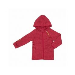 Bluza z polaru dla dziewczynki Peak Mountain Fatora. Czerwone bluzy dla dziewczynek Peak Mountain, na zimę, bez wzorów, z polaru, bez ramiączek, bez kaptura. W wyprzedaży za 177.50 zł.