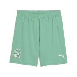 Męskie szorty Wybrzeże Kości Słoniowej 2025 PUMA Jade Frost White Green. Białe krótkie spodenki sportowe męskie Puma, l, bez wzorów, do piłki nożnej. Za 199.00 zł.