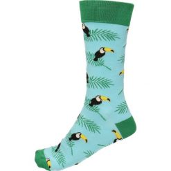 Skarpety unisex. Szare skarpety męskie Gino Rossi, z bawełny. Za 19.90 zł.