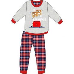 Piżama Young Boy 966/79 Breakfast szara r. 164. Szare bielizna dla chłopców Cornette. Za 59.64 zł.