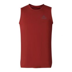 Koszulka męska sportowa bez rękawów szybkoschnąca Alpine Pro Gelad 2. Czerwone koszulki sportowe męskie Alpine Pro, m, bez wzorów, bez kołnierzyka, bez ramiączek. W wyprzedaży za 59.00 zł.