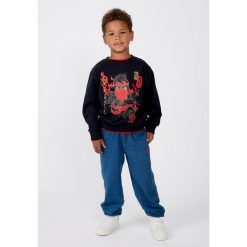 Bluza Bawełniana Chłopięca LEGO Ninjago Sian205 Czarna. Czarne bluzy dla chłopców LEGO, bez wzorów, z bawełny, bez ramiączek, bez kaptura. Za 129.99 zł.