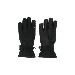 Rękawiczki dla dzieci Zigzag Santiay. Czarne rękawiczki dziecięce Zigzag, bez wzorów. Za 133.00 zł.