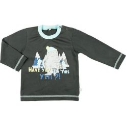 Mmdadak Chłopięca Koszulka Yeti 74 Szary. T-shirty dla chłopców marki Mmdadak. Za 33.00 zł.