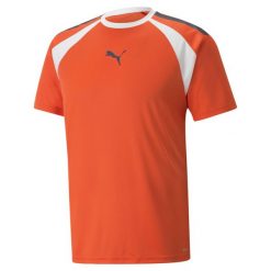 Koszulka sportowa męska Puma Teamliga. Brązowe buty sportowe męskie Puma, z poliesteru, bez zapięcia, na fitness i siłownię. Za 229.00 zł.