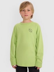 4F Longlseeve regular z nadrukiem chłopięcy - zielony 158 (12-13 lat). Zielone t-shirty dla chłopców 4f, bez wzorów, z bawełny, bez ramiączek. W wyprzedaży za 39.99 zł.