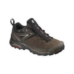 Salomon Buty męskie X Ultra 3 Ltr GTX Delicioso/Bungee Cord r. 44 (404785). Trekkingi męskie marki Salomon. Za 439.00 zł.