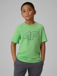 4F T-shirt regular z nadrukiem chłopięcy - zielony 122 (6-7 lat). Zielone t-shirty dla chłopców 4f, bez wzorów, z bawełny, bez ramiączek. Za 39.99 zł.