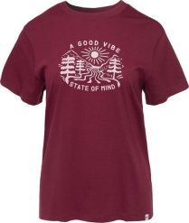 Damska Koszulka Z Krótkim Rękawem Lady Dioki Sp rozmiar S. T-shirty damskie HITEC, s, bez wzorów, bez kołnierzyka. Za 44.86 zł.
