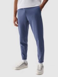4F Spodnie dresowe joggery męskie - niebieskie XXL. Niebieskie spodnie sportowe męskie 4f, l, bez wzorów, z bawełny. Za 149.99 zł.