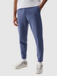4F Spodnie dresowe joggery męskie - niebieskie S. Niebieskie spodnie sportowe męskie 4f, l, bez wzorów, z bawełny. Za 149.99 zł.
