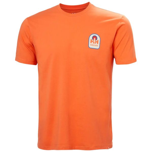 Koszulka Helly Hansen Massif Graphic. Brązowe koszulki sportowe męskie Helly Hansen, m, bez wzorów, z bawełny, bez kołnierzyka, bez ramiączek. Za 148.90 zł.