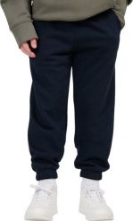 4f Spodnie dla chłopca 4F CAS M1188 granatowe 4FJWMM00TTROM1188 31S 122cm. Spodnie sportowe dla chłopców 4f, bez wzorów, sportowe. Za 69.98 zł.