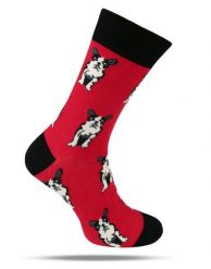 Tematyczne Skarpetki Bawełniane - Psy na Czerwonym Tle. Czerwone skarpety męskie His Story, bez wzorów, z bawełny. Za 34.99 zł.