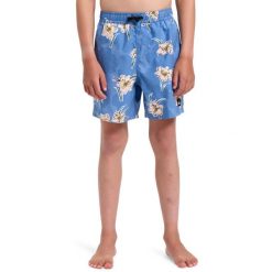 Szorty kąpielowe dla Chłopcy EVERYDAY STRAIGHT VOLLEY 14" Niebieski. Niebieskie szorty dla chłopców Quiksilver, bez wzorów, z materiału. Za 159.99 zł.
