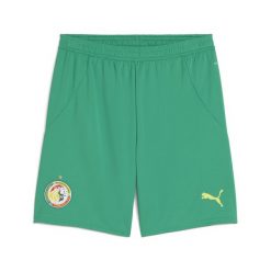 Męskie szorty Senegal 2025 PUMA Sport Green Electric Lime. Zielone krótkie spodenki sportowe męskie Puma, m, z aplikacjami, do piłki nożnej. Za 199.00 zł.
