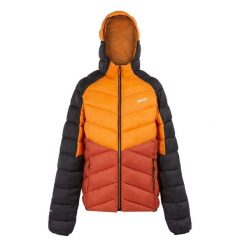 Męska Kurtka Ocieplana Z Kapturem Dalent. Brązowe kurtki sportowe męskie Regatta, m, bez wzorów, z puchu, trekkingowe. Za 154.99 zł.